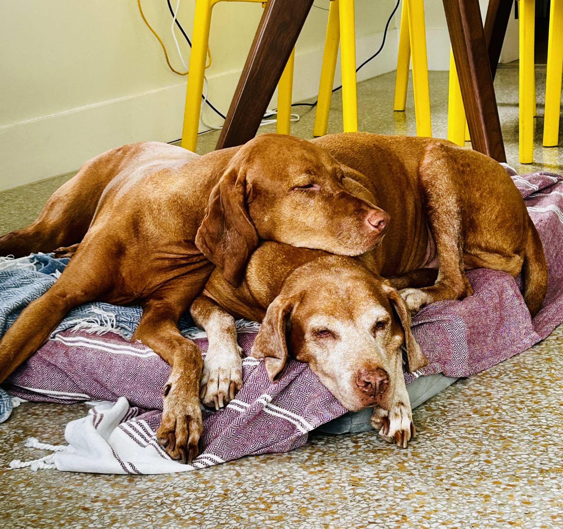 Holly and Zsuzsa: Holly and Zsuzsa want the rain to go away!