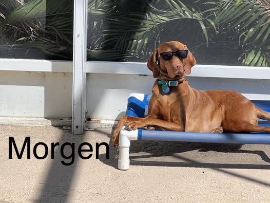 Congratulations to Arya, Captain Morgan, Etta James, Kenzie, Luna, Morgen, Olive and Talisker!  — photo 6