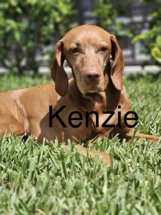 Congratulations to Arya, Captain Morgan, Etta James, Kenzie, Luna, Morgen, Olive and Talisker!  — photo 4