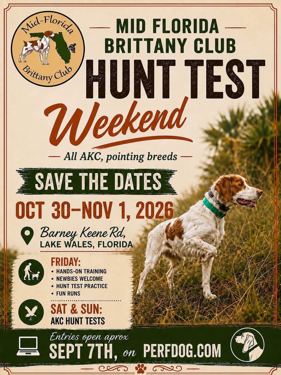 Mid Florida Brittany Club Hunt Test Weekend