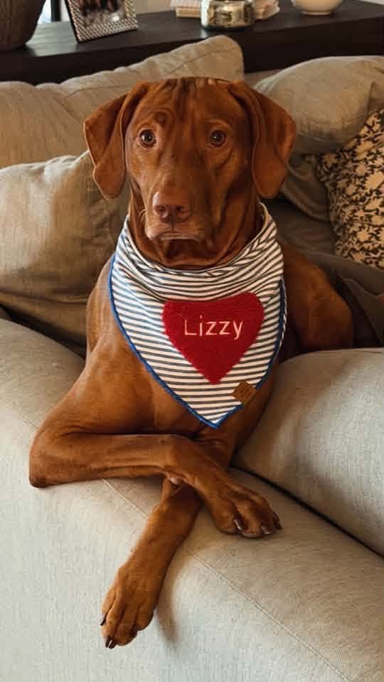 Congratulations to Jack, Lizzy, Nyla, Riva, Ruby, Whiskey and Zeke! — photo 2
