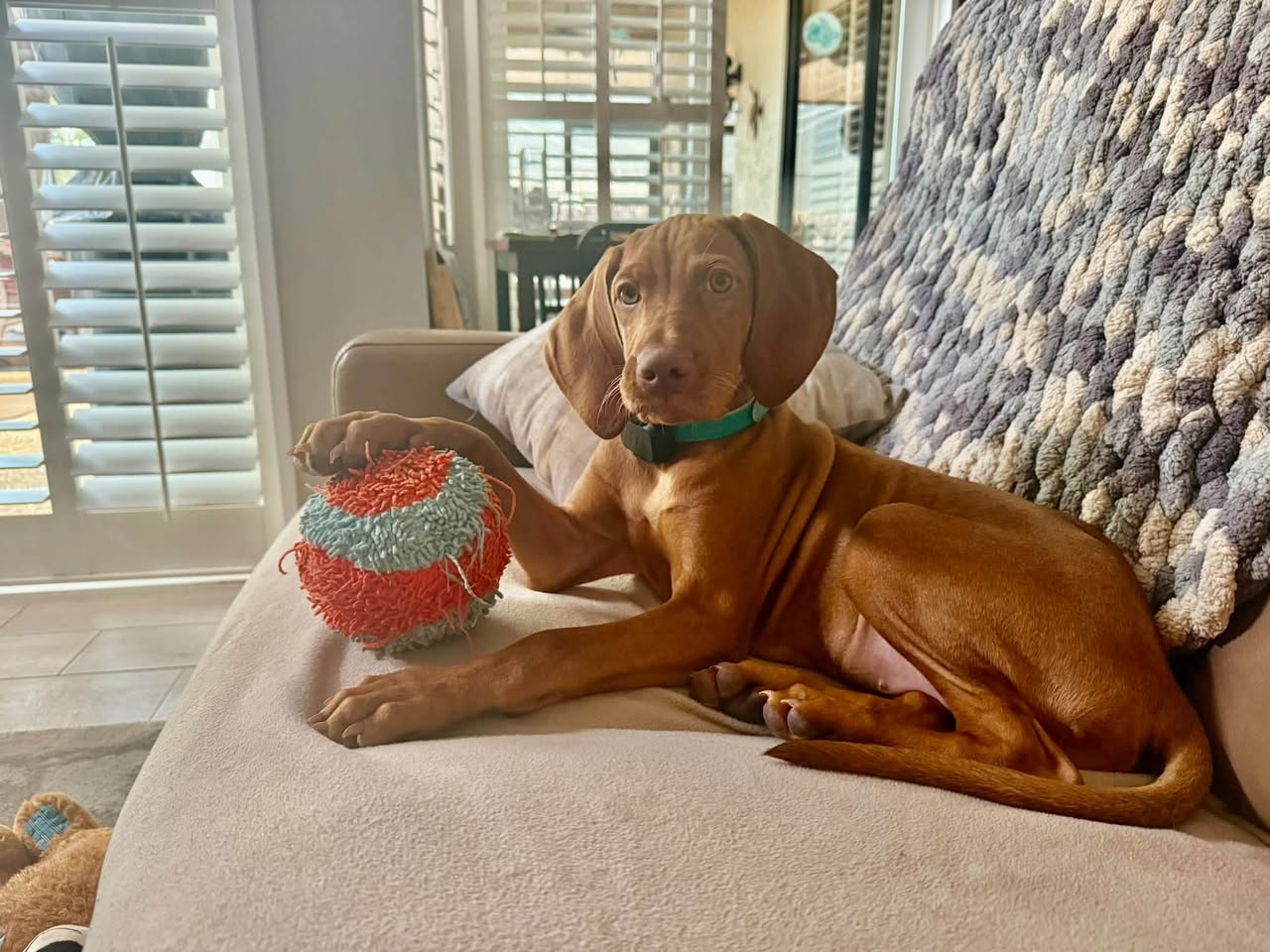 Lexi photo 4