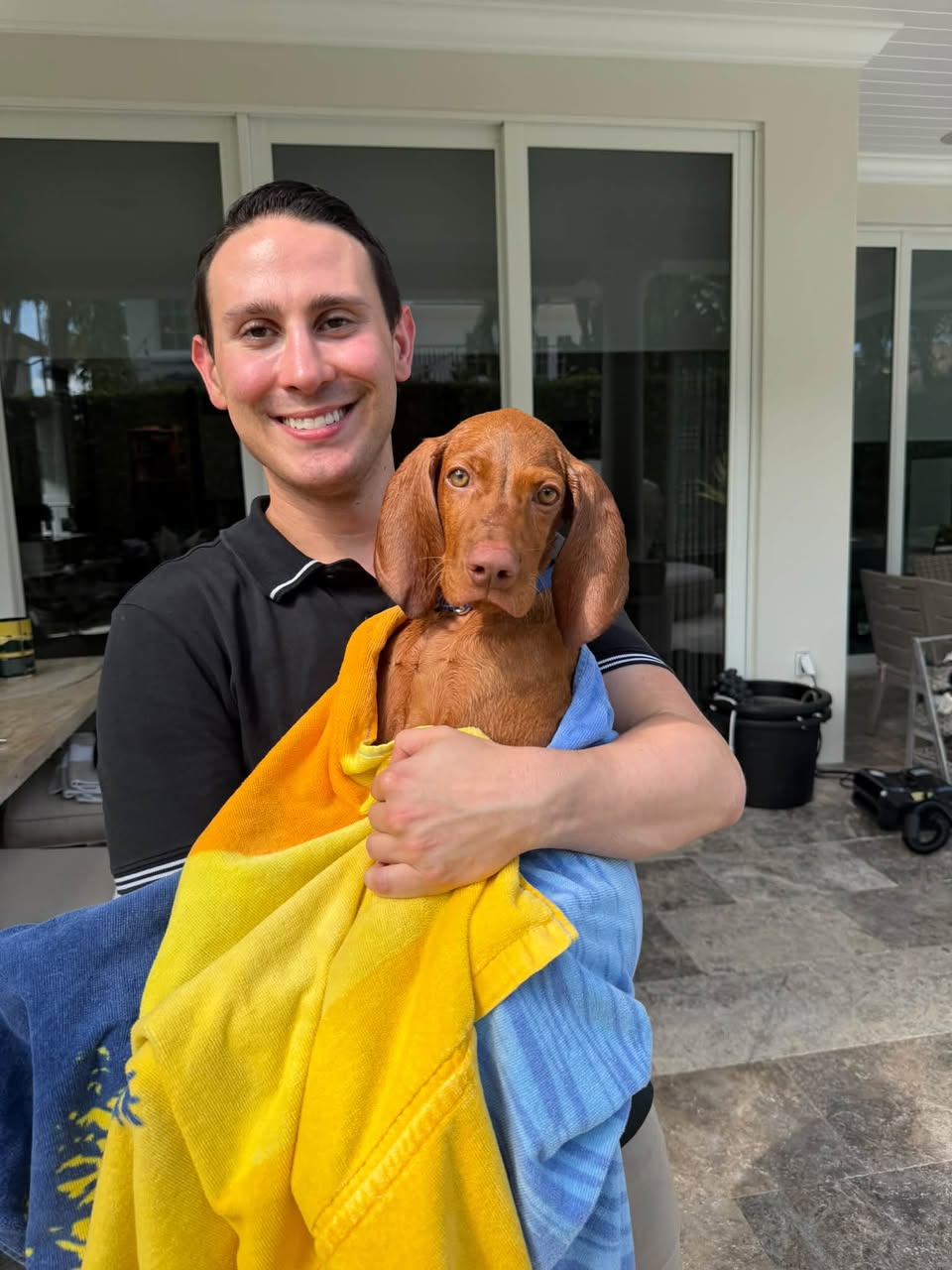 Archie (previously Boomer) photo 3