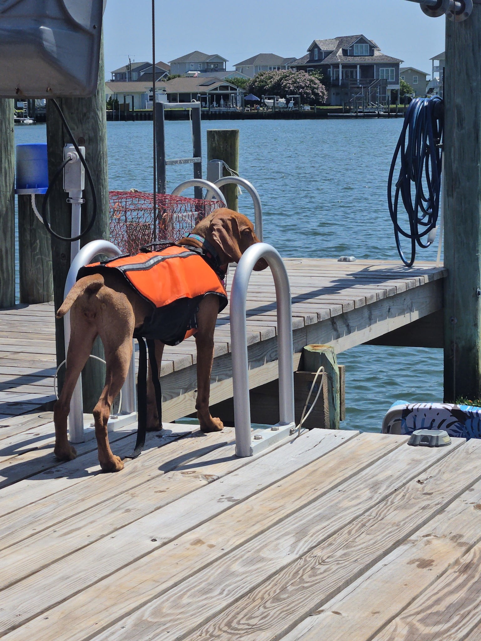 Nyla is getting ready for a swim!!