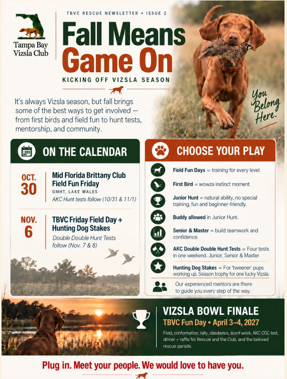Tampa Bay Vizsla Club Fall and Spring Events