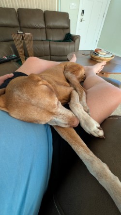 Allie the Miracle Girl — photo 2