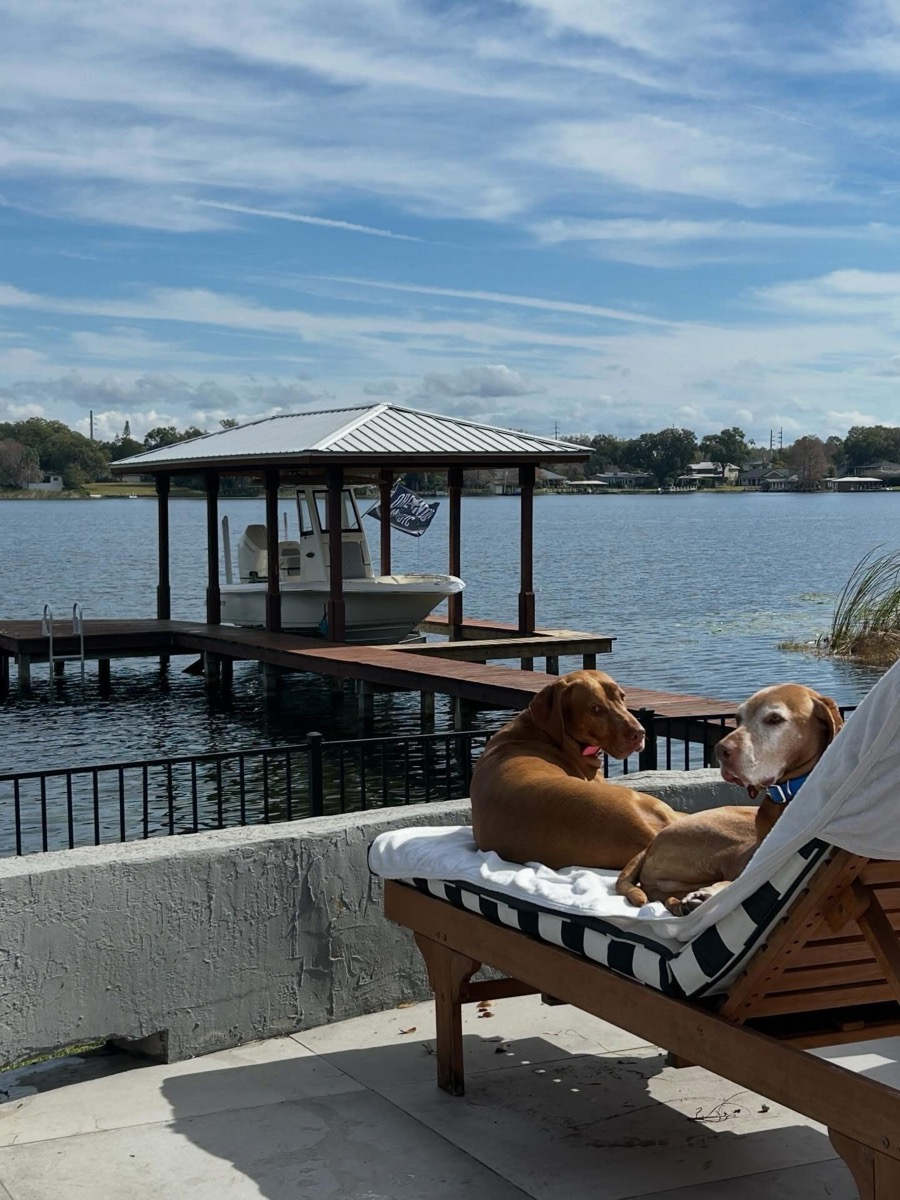 Apollo & Luna: Apollo & Luna are living the life — January recap