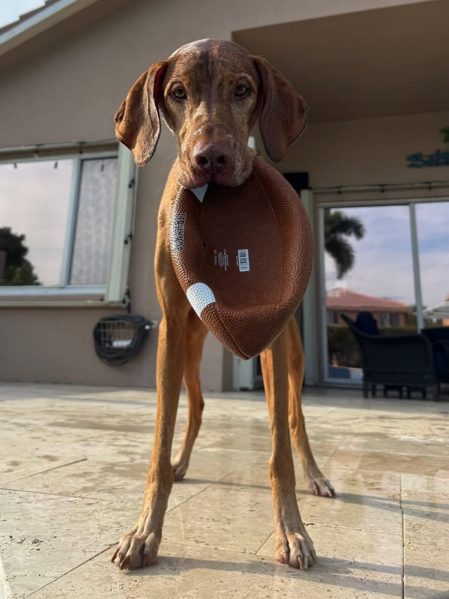 Gus: Gus is living his best life!!!