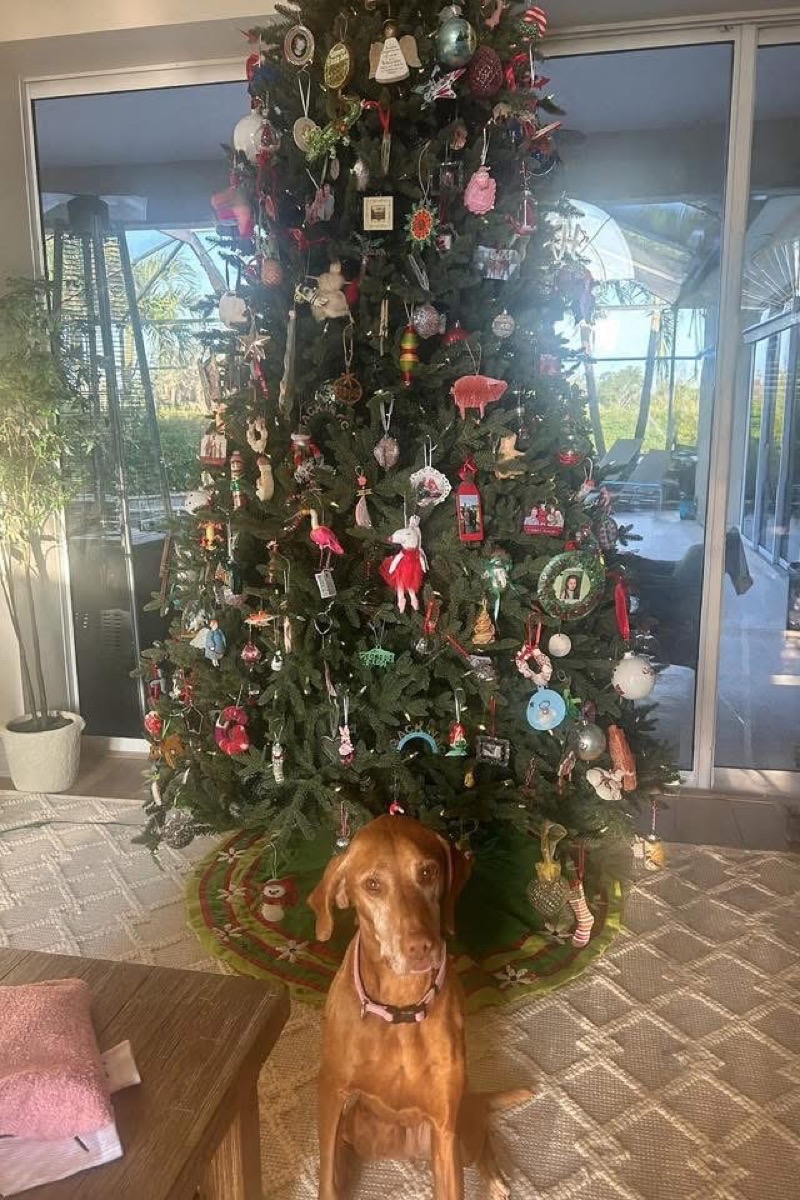 Penny: Penny was on the good list — showered with presents!