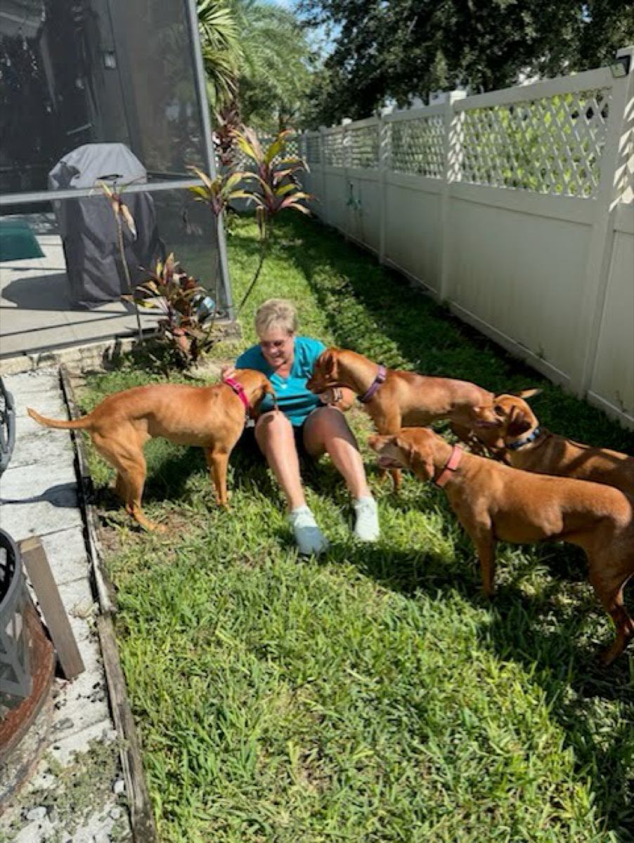 Luna, Tully, Loulou & Foster met for the first time!
