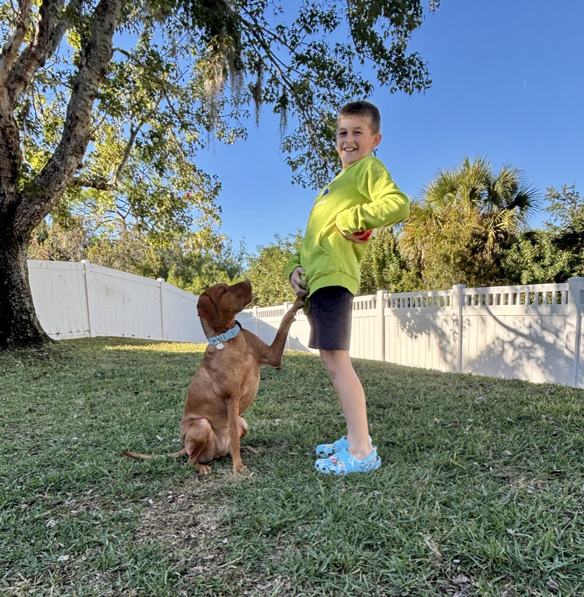 Rosie: Rosie is bonding with her human brother