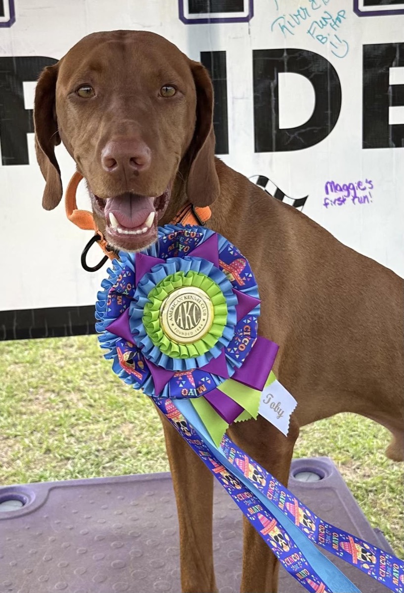 Toby: Congratulations Toby — FCAT title! 🥇🏆