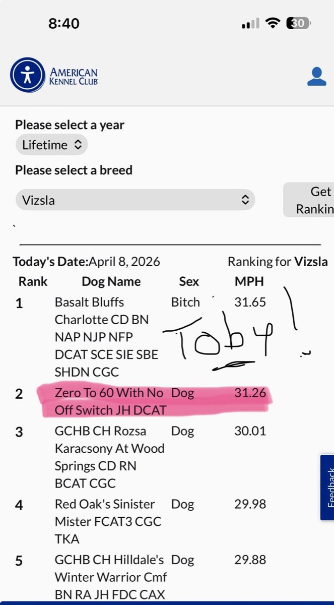 Toby: Toby is #2 in lifetime FastCAT rankings for his breed!