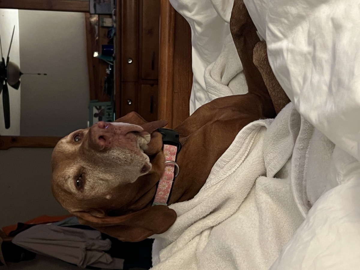 Zoey: Zoey is working at Rally classes — and loving it