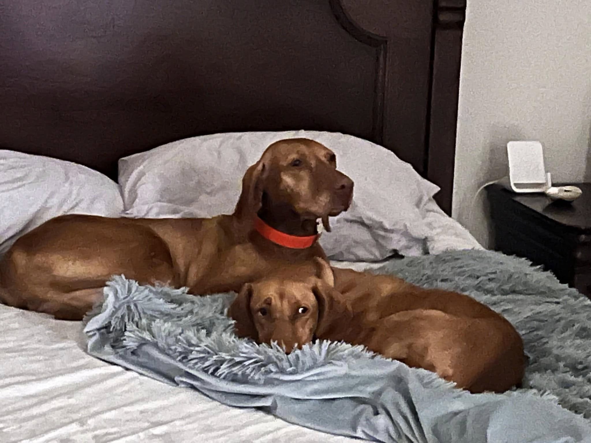 Mia & Hallah