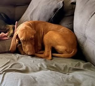 Nala (now Nyla)